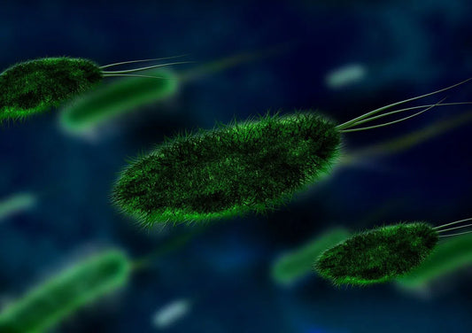 Can you get chlamydia from smoking with someone ?